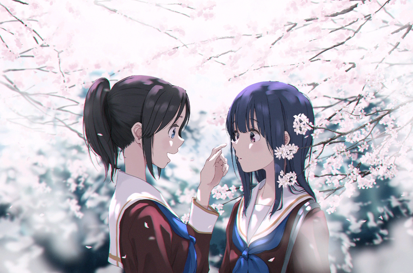 文档